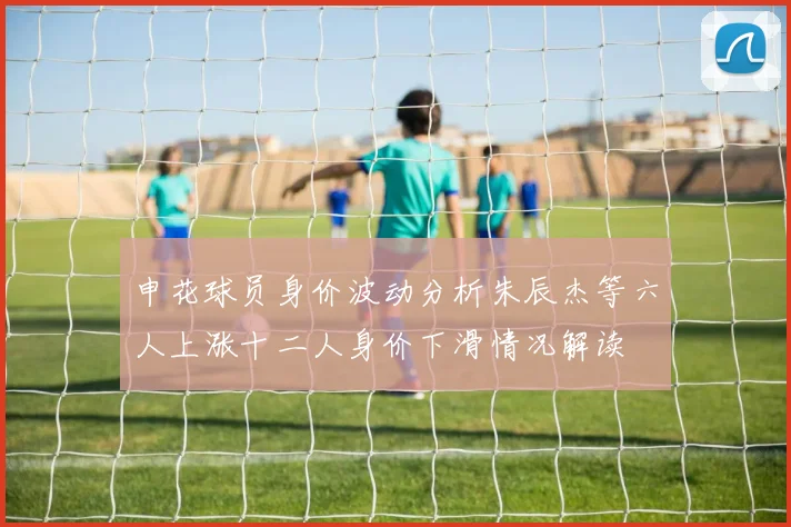 申花球员身价波动分析朱辰杰等六人上涨十二人身价下滑情况解读