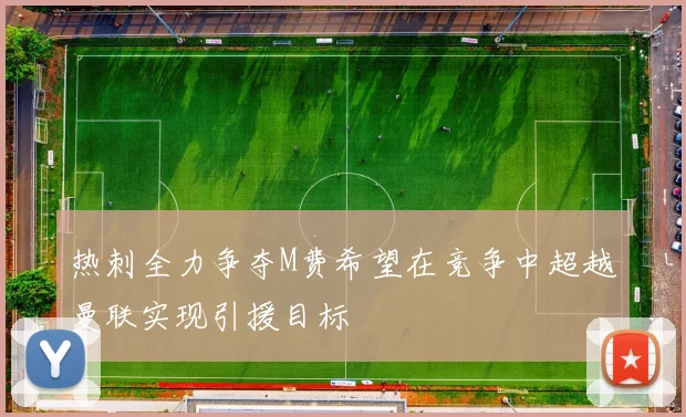 热刺全力争夺M费希望在竞争中超越曼联实现引援目标